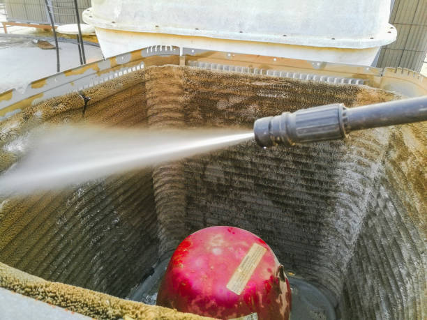 Best Air Duct Mold Removal  in Temple, PA