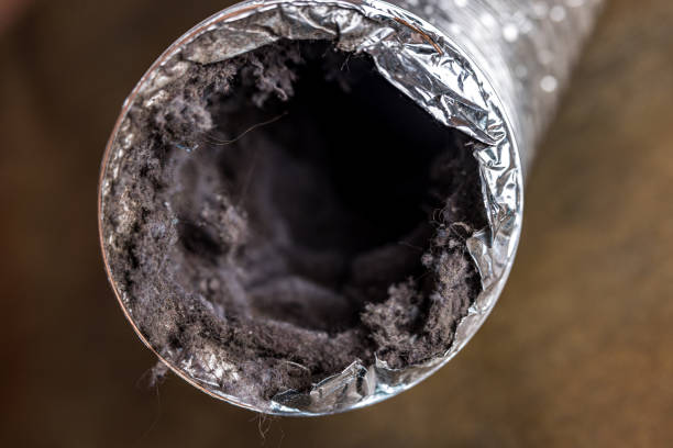 Best Air Duct Cleaning Near Me  in Temple, PA